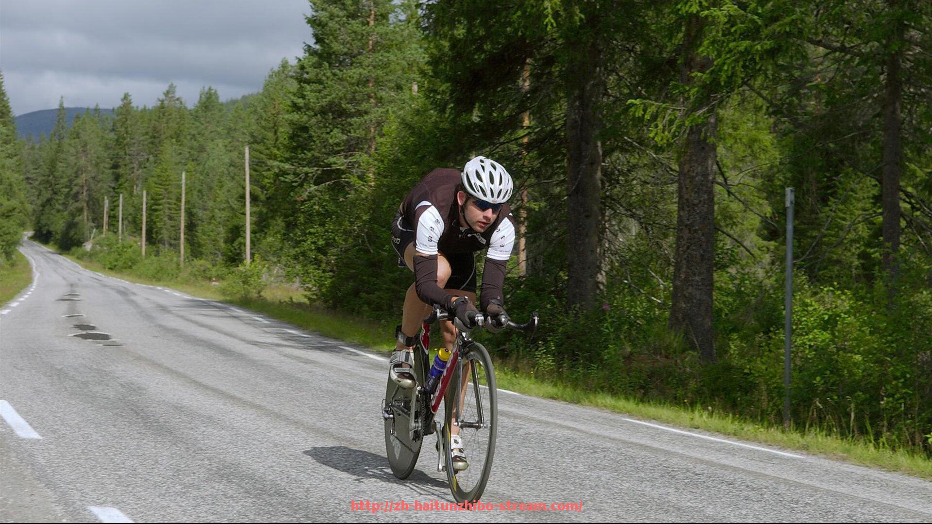 海豚直播-关注世俱杯官方赞助商：附最新赛况与球迷热议
