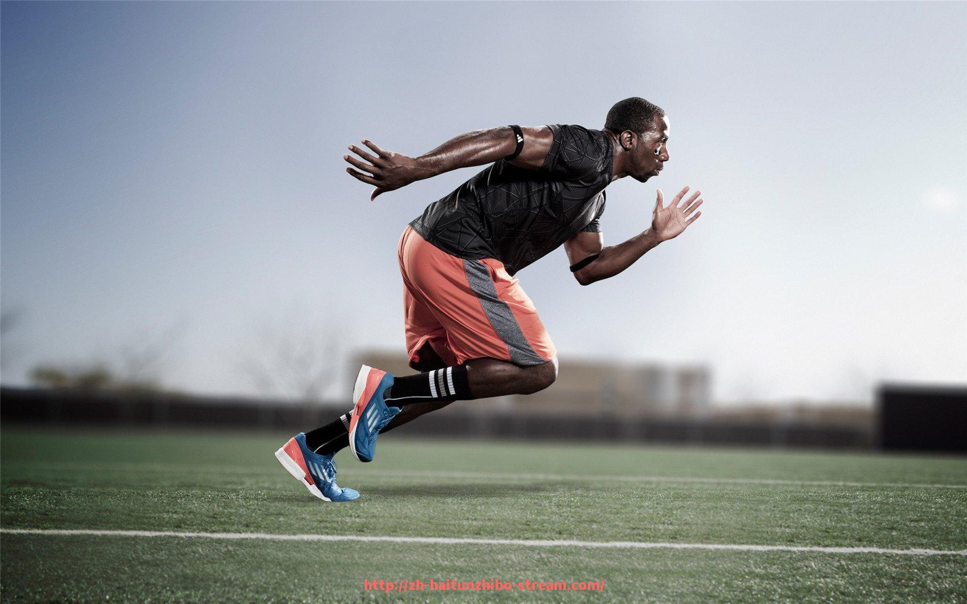 海豚直播-永泰舒华健身器材专卖点及品牌产品介绍